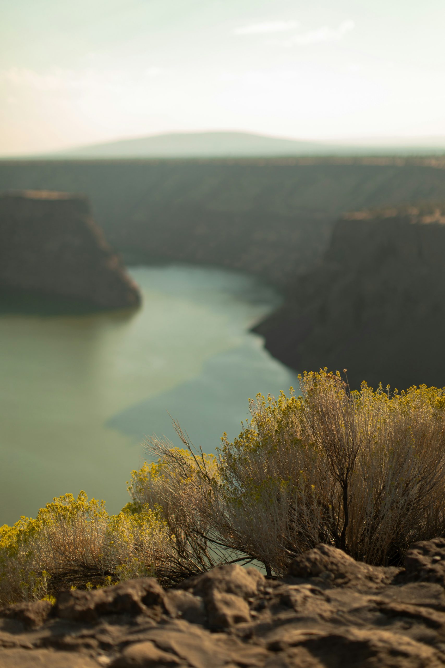 emma-swoboda-6vbIxTLIGPQ-unsplash